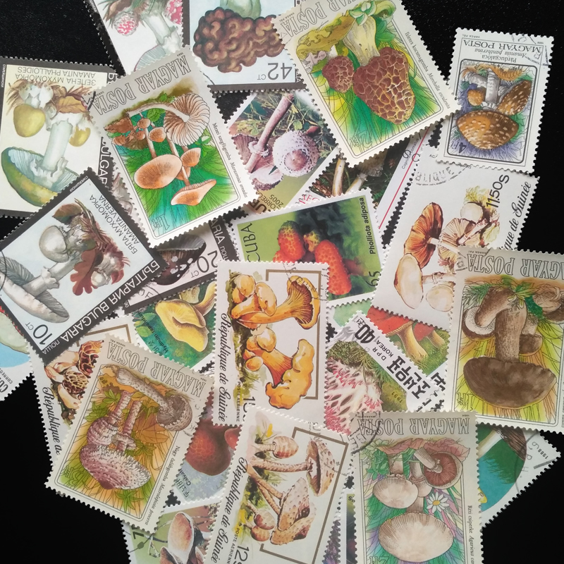 100 различных оригинальных поч – обзор и цена Vintage Collectible Stamps